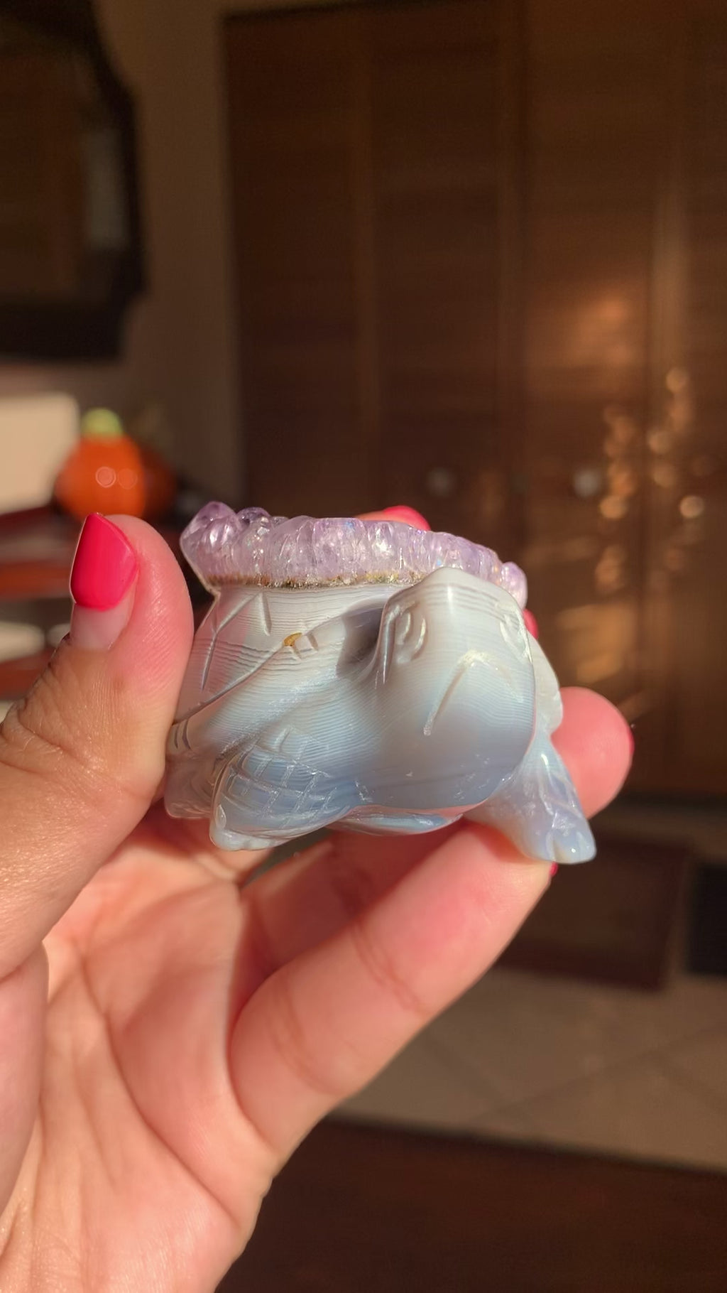 Amethyst & Agate Cluster Turtle