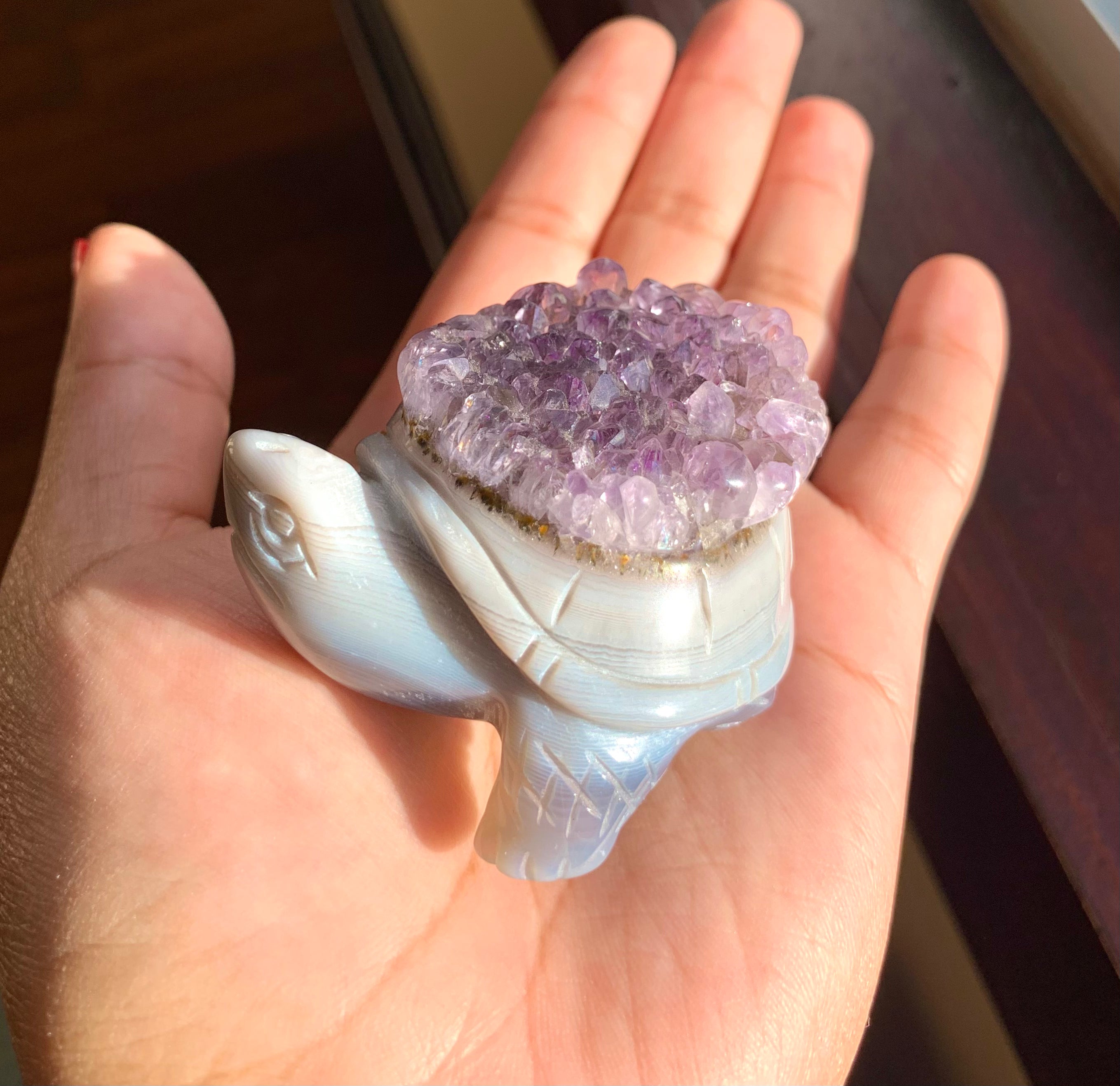 Amethyst & Agate Cluster Turtle