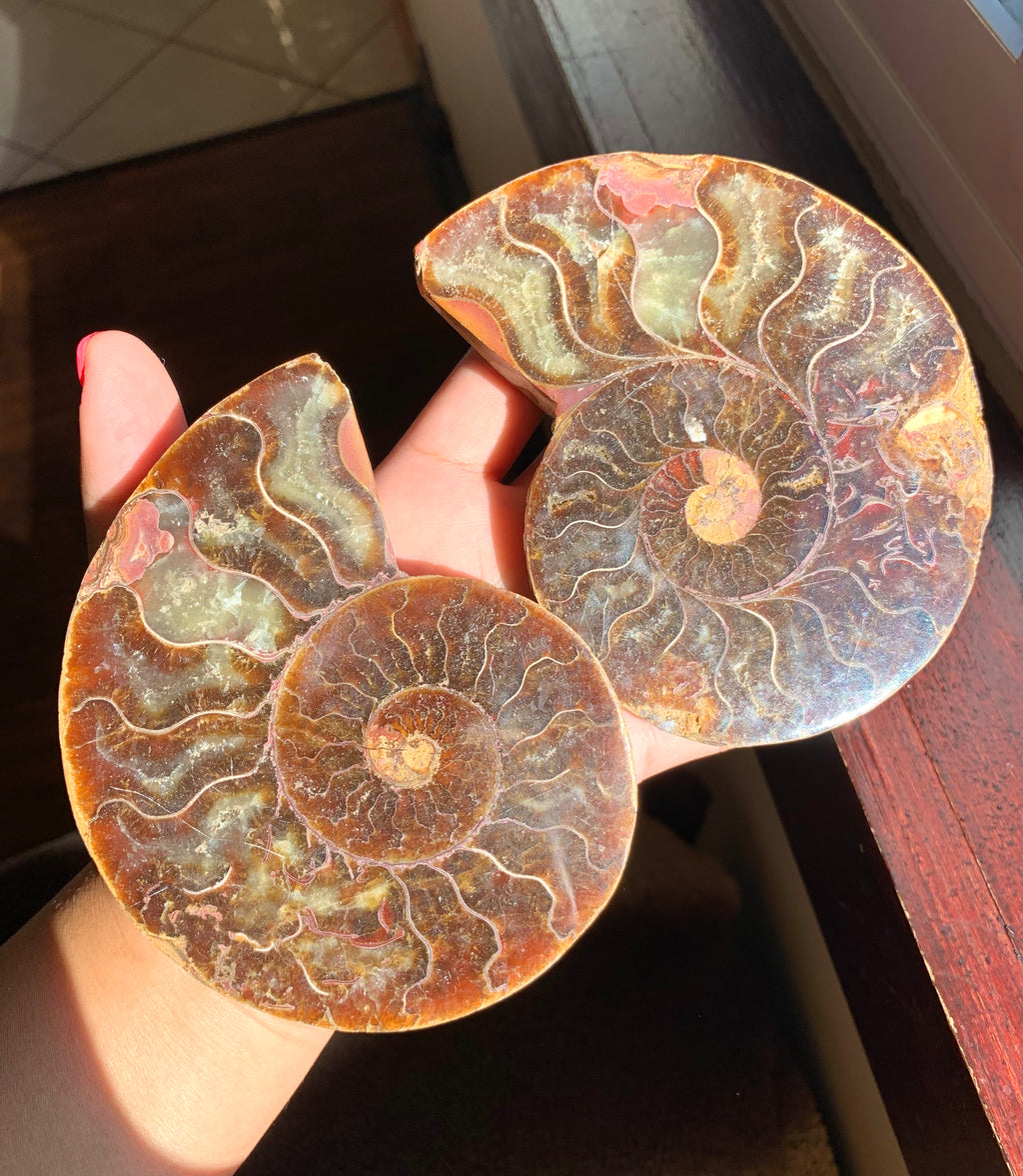 Live Sale Crystal Selection - TikTok